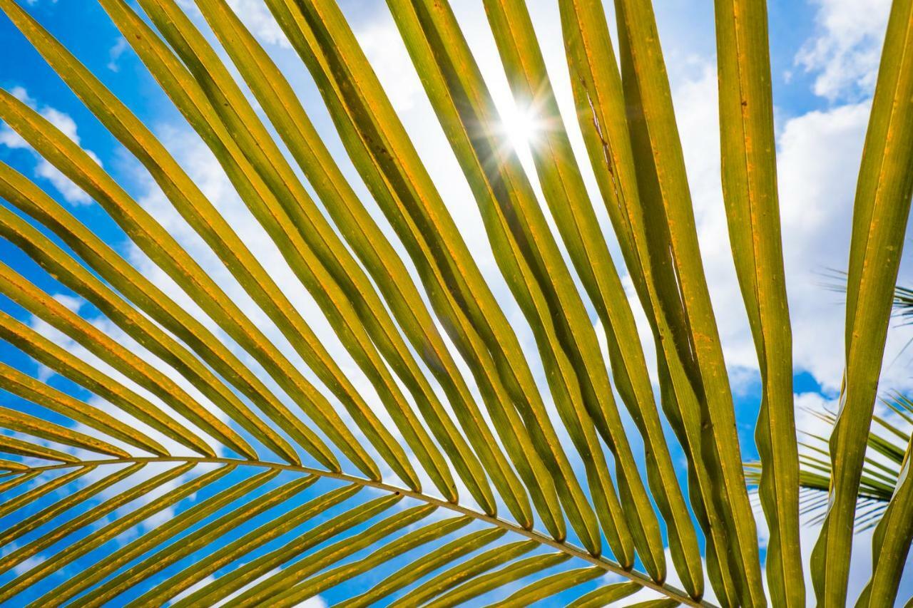 Beaches Bonaire Kralendijk  Exterior foto